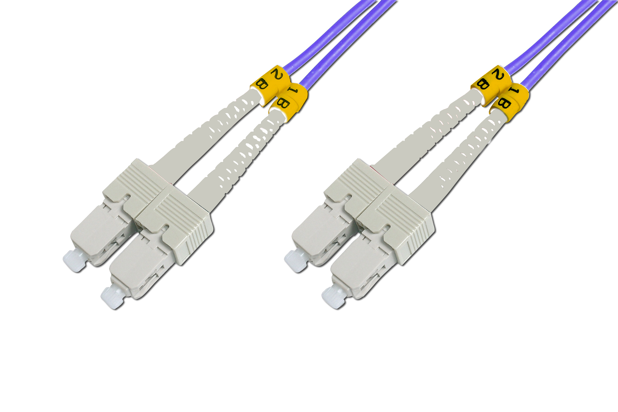 BC-FO-5SCSC-01/4