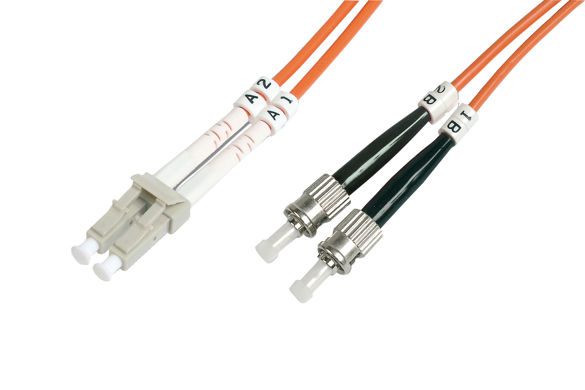 BC-FO-6LCST-01
