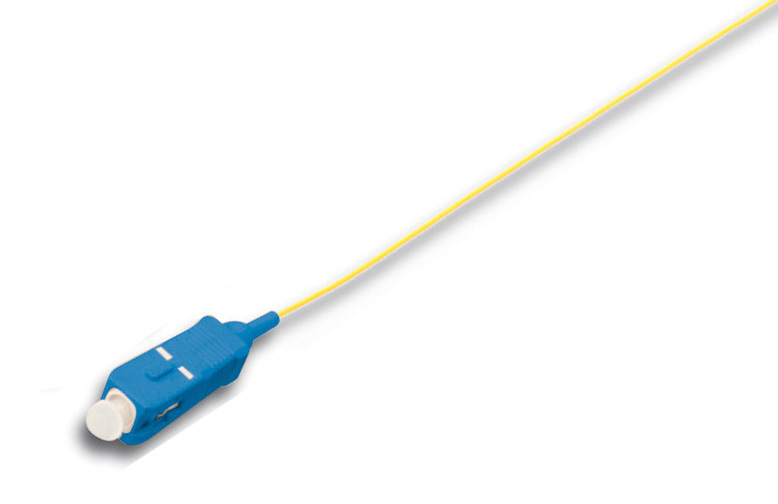 BC-FO-PT9SC-01